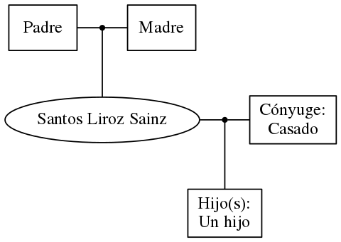 This is a graph with borders and nodes. Maybe there is an Imagemap used so the nodes may be linking to some Pages.