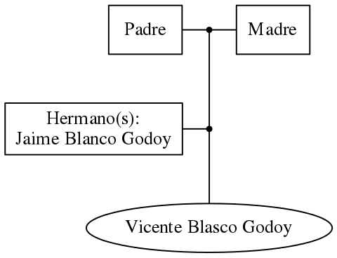 This is a graph with borders and nodes. Maybe there is an Imagemap used so the nodes may be linking to some Pages.