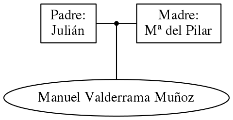 This is a graph with borders and nodes. Maybe there is an Imagemap used so the nodes may be linking to some Pages.