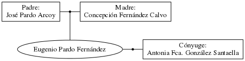 This is a graph with borders and nodes. Maybe there is an Imagemap used so the nodes may be linking to some Pages.