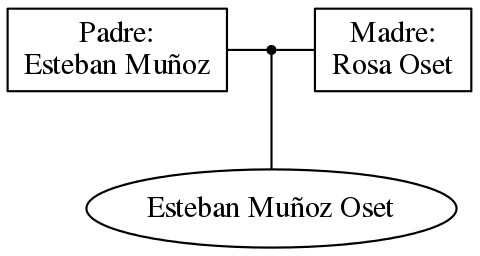 This is a graph with borders and nodes. Maybe there is an Imagemap used so the nodes may be linking to some Pages.