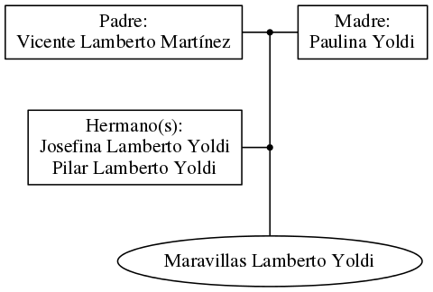 This is a graph with borders and nodes. Maybe there is an Imagemap used so the nodes may be linking to some Pages.