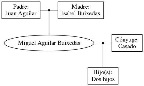 This is a graph with borders and nodes. Maybe there is an Imagemap used so the nodes may be linking to some Pages.