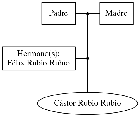 This is a graph with borders and nodes. Maybe there is an Imagemap used so the nodes may be linking to some Pages.