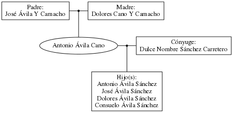 This is a graph with borders and nodes. Maybe there is an Imagemap used so the nodes may be linking to some Pages.