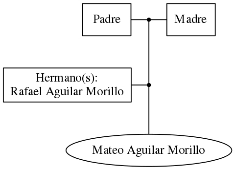 This is a graph with borders and nodes. Maybe there is an Imagemap used so the nodes may be linking to some Pages.