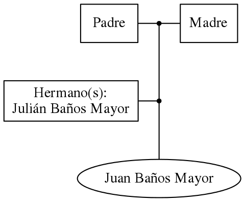 This is a graph with borders and nodes. Maybe there is an Imagemap used so the nodes may be linking to some Pages.