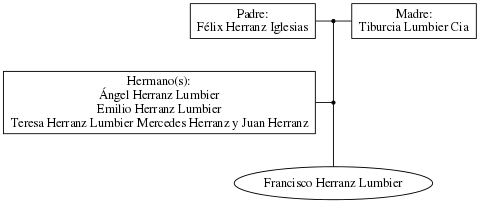 This is a graph with borders and nodes. Maybe there is an Imagemap used so the nodes may be linking to some Pages.