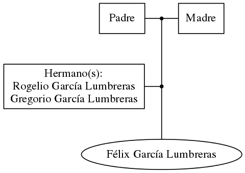 This is a graph with borders and nodes. Maybe there is an Imagemap used so the nodes may be linking to some Pages.