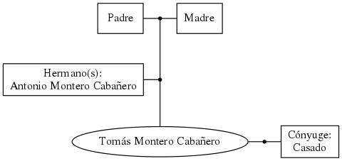 This is a graph with borders and nodes. Maybe there is an Imagemap used so the nodes may be linking to some Pages.