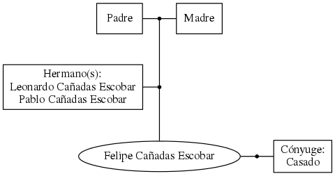 This is a graph with borders and nodes. Maybe there is an Imagemap used so the nodes may be linking to some Pages.