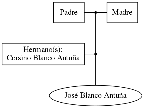 This is a graph with borders and nodes. Maybe there is an Imagemap used so the nodes may be linking to some Pages.