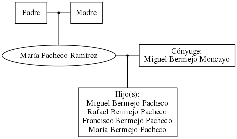 This is a graph with borders and nodes. Maybe there is an Imagemap used so the nodes may be linking to some Pages.