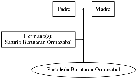 This is a graph with borders and nodes. Maybe there is an Imagemap used so the nodes may be linking to some Pages.