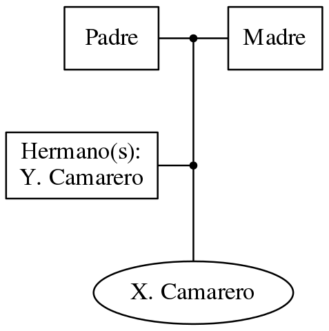 This is a graph with borders and nodes. Maybe there is an Imagemap used so the nodes may be linking to some Pages.