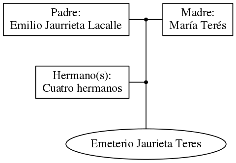 This is a graph with borders and nodes. Maybe there is an Imagemap used so the nodes may be linking to some Pages.