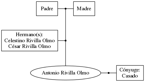 This is a graph with borders and nodes. Maybe there is an Imagemap used so the nodes may be linking to some Pages.