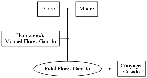 This is a graph with borders and nodes. Maybe there is an Imagemap used so the nodes may be linking to some Pages.