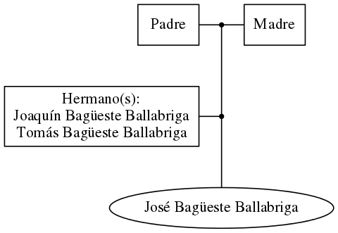 This is a graph with borders and nodes. Maybe there is an Imagemap used so the nodes may be linking to some Pages.