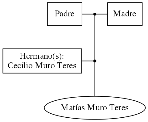 This is a graph with borders and nodes. Maybe there is an Imagemap used so the nodes may be linking to some Pages.