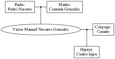 This is a graph with borders and nodes. Maybe there is an Imagemap used so the nodes may be linking to some Pages.