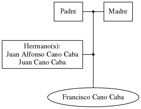 This is a graph with borders and nodes. Maybe there is an Imagemap used so the nodes may be linking to some Pages.