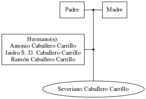 This is a graph with borders and nodes. Maybe there is an Imagemap used so the nodes may be linking to some Pages.