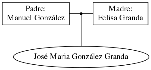 This is a graph with borders and nodes. Maybe there is an Imagemap used so the nodes may be linking to some Pages.