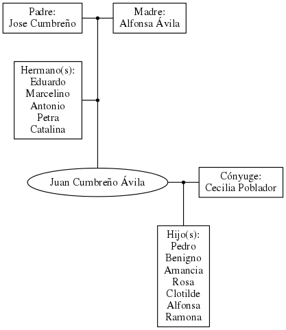 This is a graph with borders and nodes. Maybe there is an Imagemap used so the nodes may be linking to some Pages.