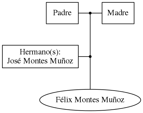 This is a graph with borders and nodes. Maybe there is an Imagemap used so the nodes may be linking to some Pages.