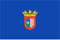 Bandera de Berriozar