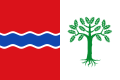 Bandera de Fuentelencina