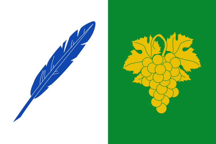 Archivo:Bandera de Toén.svg