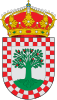 Escudo de A Cañiza