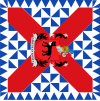 Bandera de Ochagavía