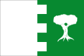 Bandera de Agrón