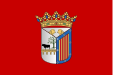 Bandera de Salamanca