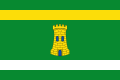 Bandera de Arauzo de Torre