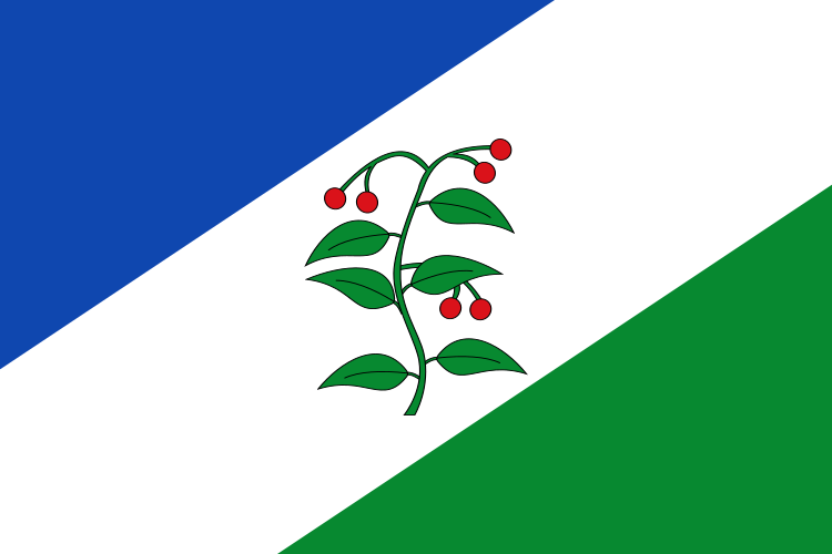 Archivo:Bandera d'Arbúcies.svg