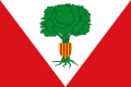 Bandera de Santed